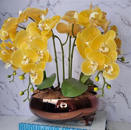 Orquídeas