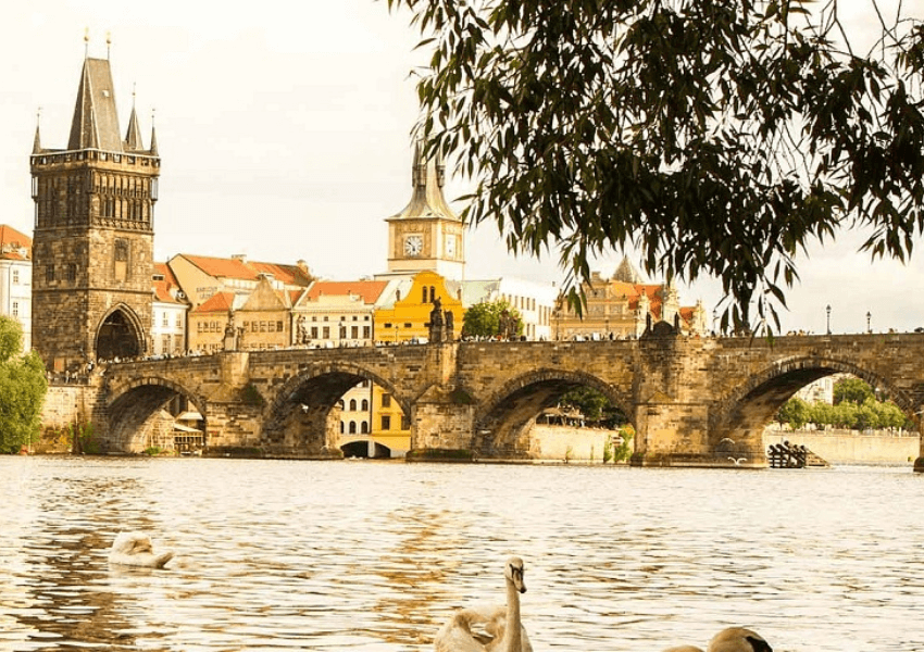 Pontes Incríveis: Engenharia e Beleza Unindo Distâncias