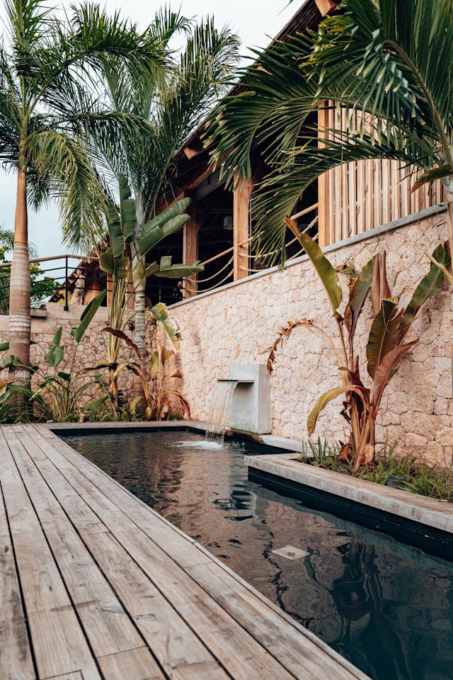 Plantas para beira da piscina