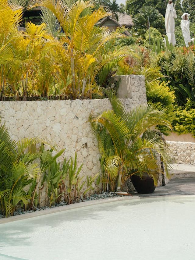 Plantas para beira da piscina