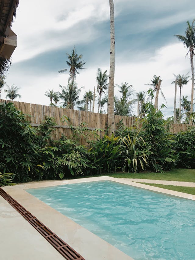 Plantas para beira da piscina