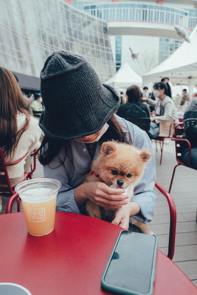 Espaço Pet Friendly Dicas para deixar o ambiente maravilhoso