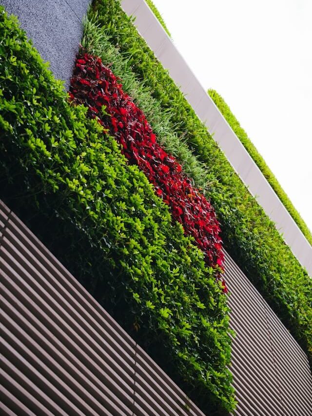Jardins Verticais como Decorar