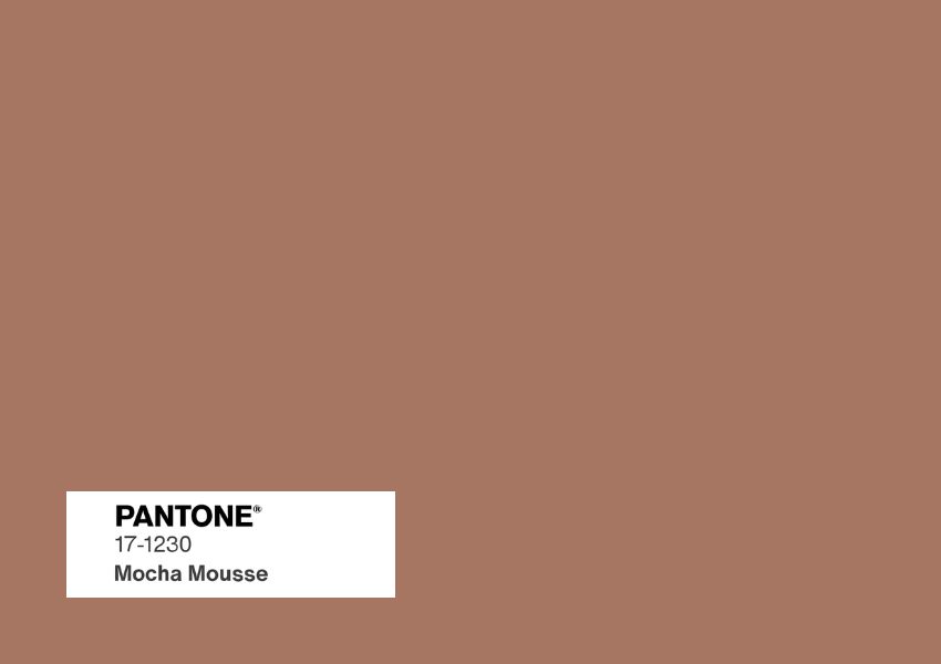 Mocha Mousse: A Cor do Ano Pantone e Como Usá-la