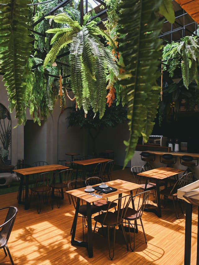 Plantas que Precisam de Cuidado no Inverno