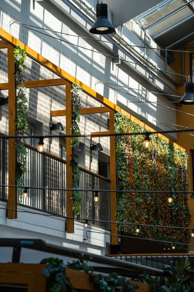 Jardim Vertical Natural: dicas de plantas e manutenção