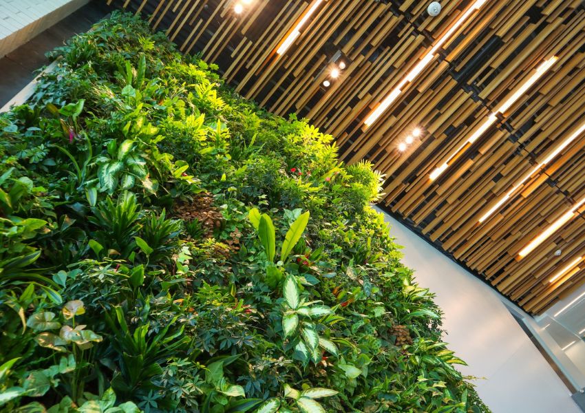 Jardim Vertical Natural: dicas de plantas e manutenção