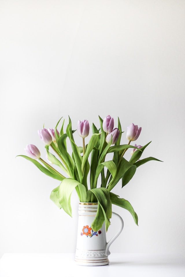Tulipas é uma escolha poderosa na decoração