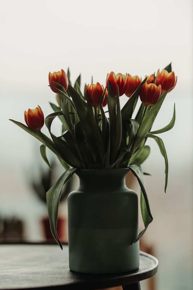 Tulipas é uma escolha poderosa na decoração