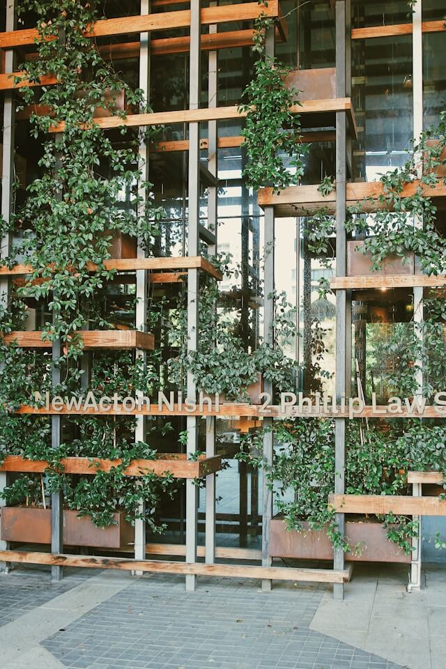 Jardim Vertical Natural: dicas de plantas e manutenção