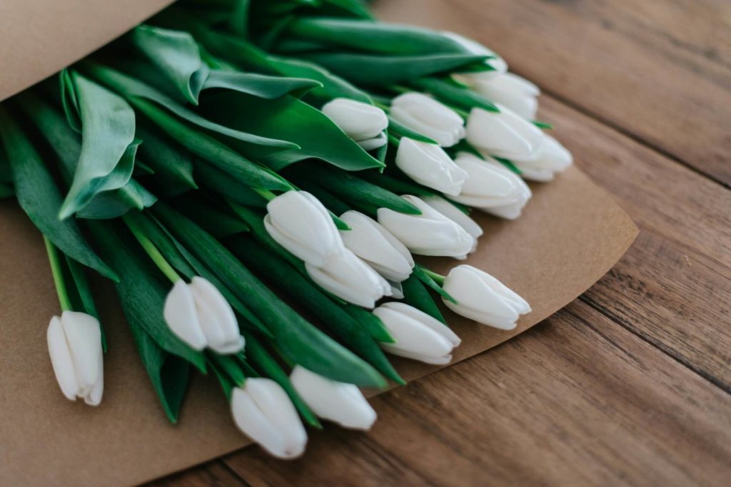 Tulipas é uma escolha poderosa na decoração